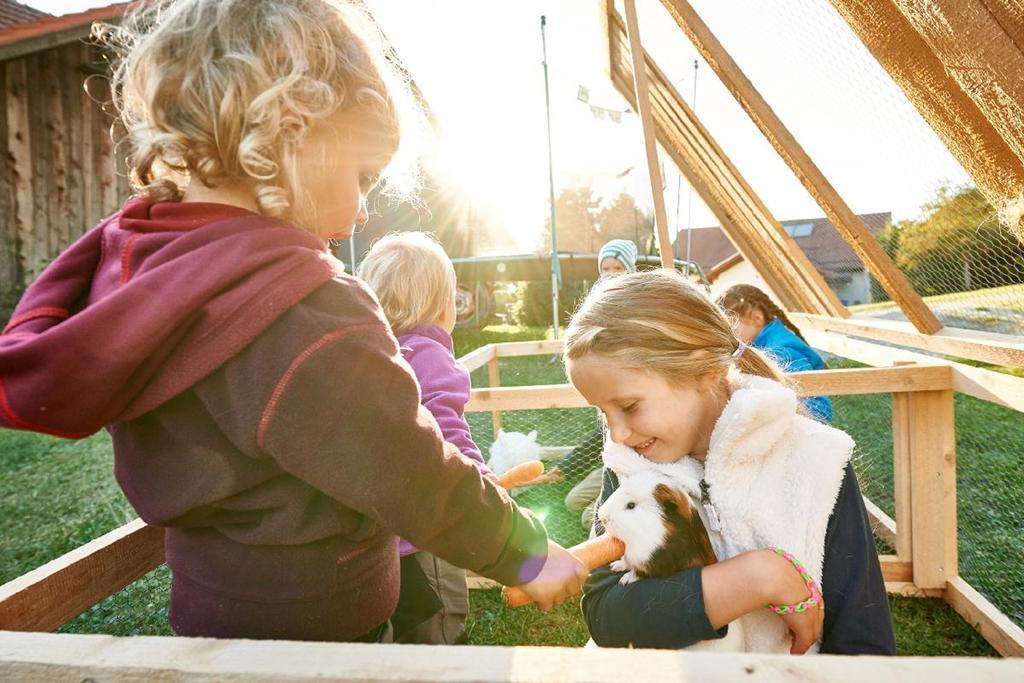 Ferienhof Stetter Schöllnach Zewnętrze zdjęcie